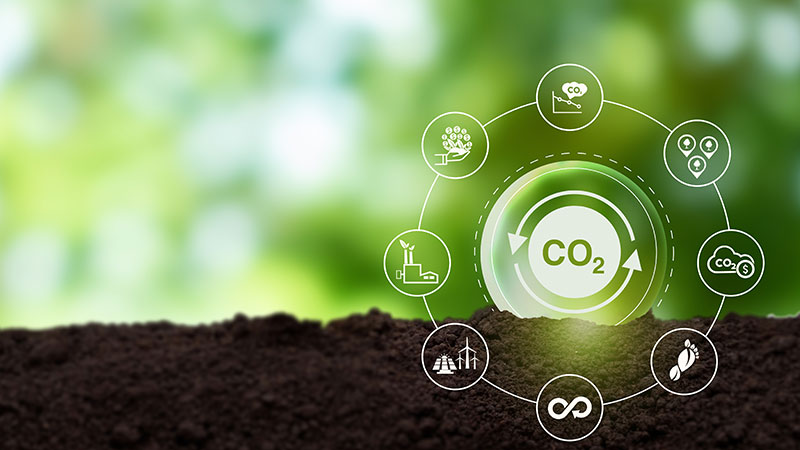 Life Cycle Analysis for Evaluating Carbon Footprint in Businesses