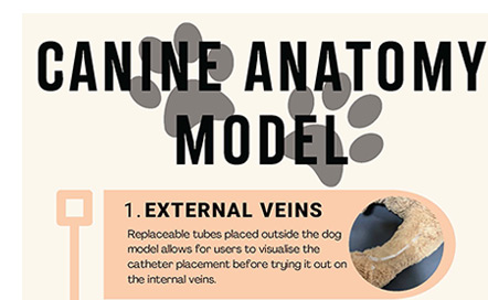 Enhancing Veterinary Technology Education with Innovative Canine Teaching Models